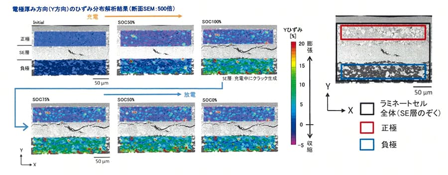 in-situ SEM画像を用いたDIC解析による全固体電池内のひずみ分布解析